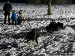 09_a rodeln lindenberg 09